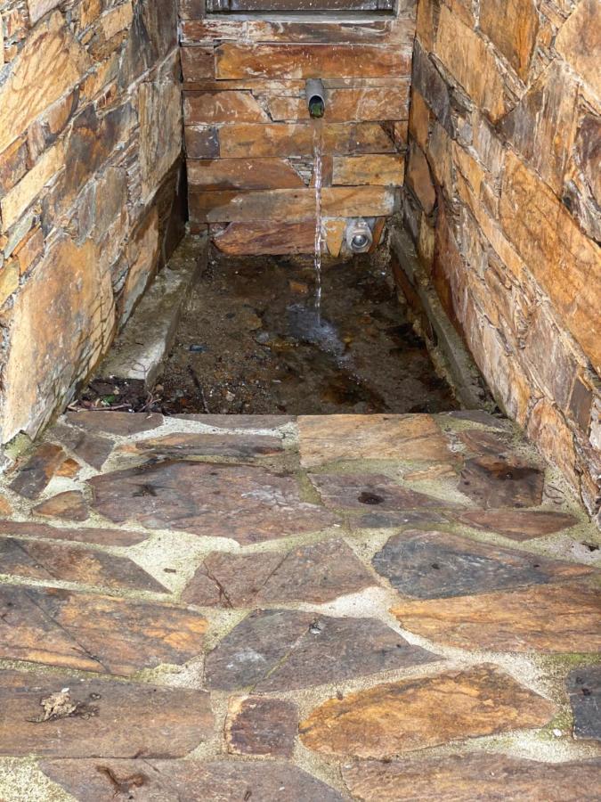 Isabel House Alojamento Rural Pampilhosa da Serra Εξωτερικό φωτογραφία